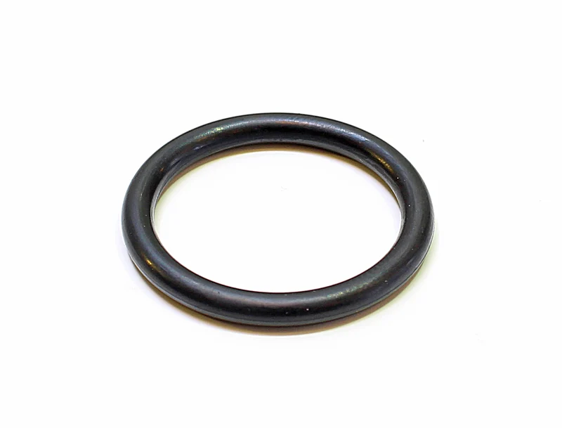 7269300 O-Ring Classic 2250/2260, Teichfilter