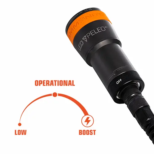 Ammonite Lampenkopf LED Speleo Mark II