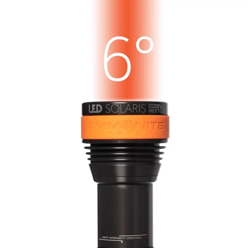 Ammonite Lampenkopf LED Solaris next Gen