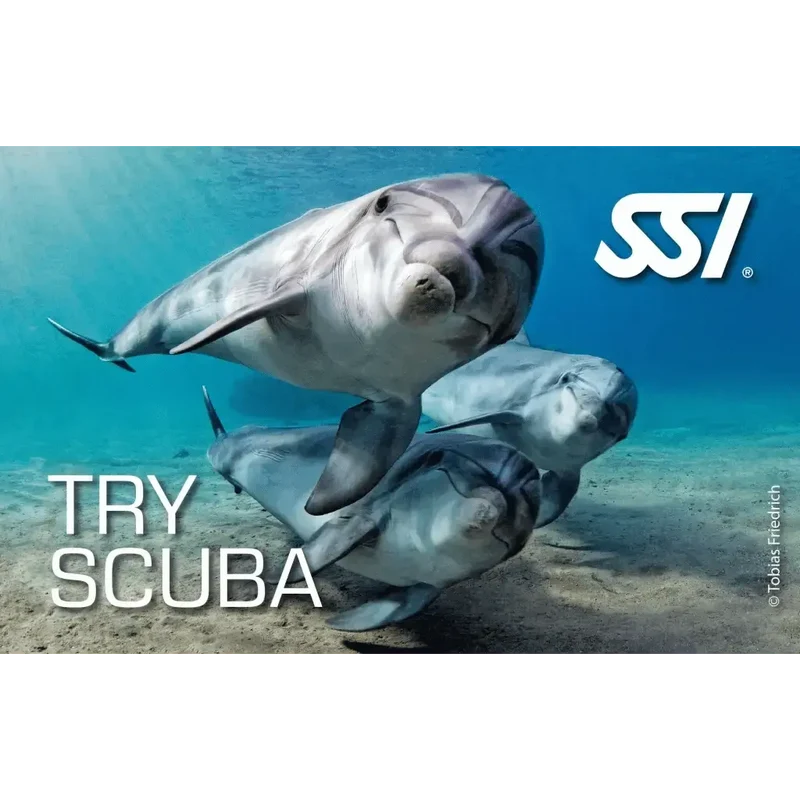 SSI Try Scuba VIP Kurs