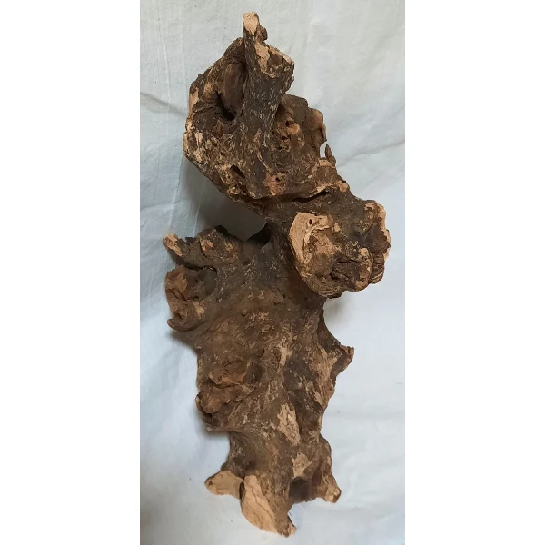 Barico Wurzel Large #109