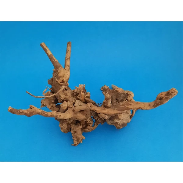 Aquadeco Rote Moorwurzel Spiderwood XS #124