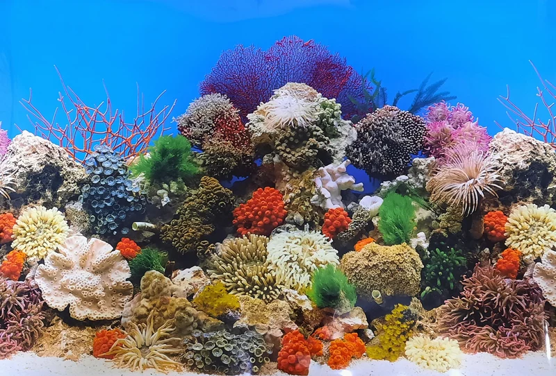 Aquarium Fotorückwand 60055 H=60cm
