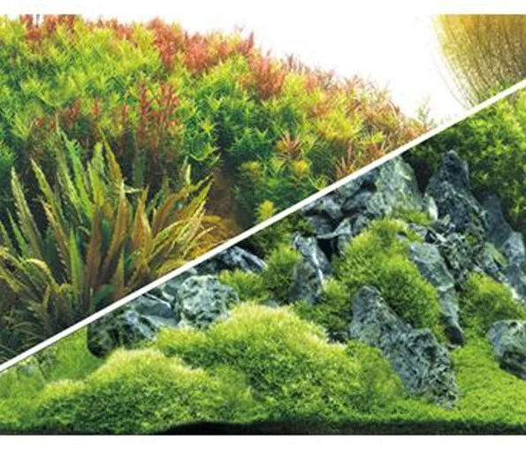 Hobby Aquarium Fotorückwand 31042 H=60cm