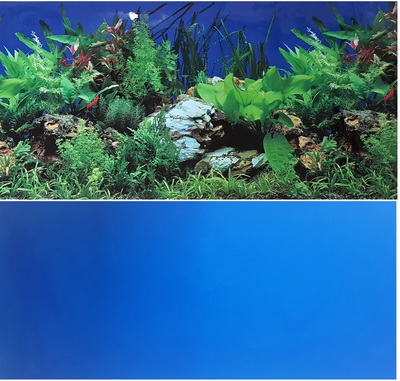 Europet Aquarium Fotorückwand 108001 H=50cm