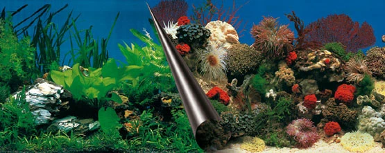 Europet Aquarium Fotorückwand 108864 H=50cm