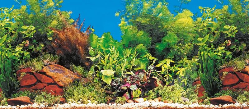 Marina Aquarium Fotorückwand 11776 H=50cm
