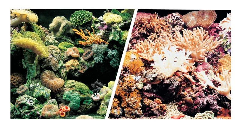 Marina Aquarium Fotorückwand 11778 H=50cm