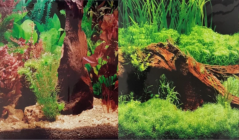Marina Aquarium Fotorückwand 11777 H=50cm