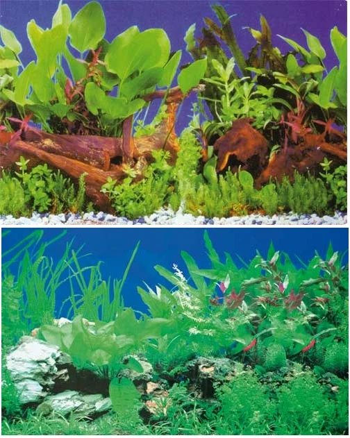 Hobby Aquarium Fotorückwand 31100 H=30cm