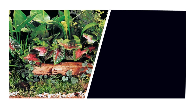 Marina Aquarium/Terrarium Fotorückwand 11712 H=30cm