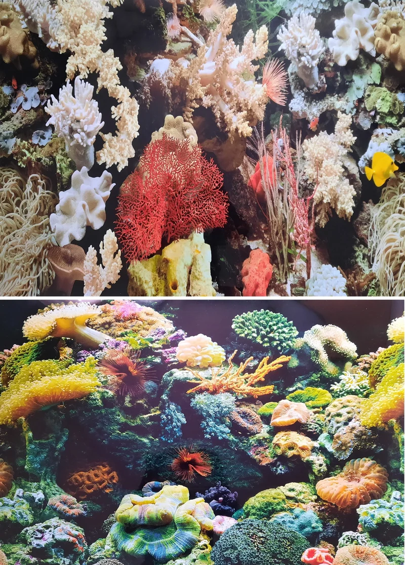 Marina Aquarium Fotorückwand 11746 H=60cm