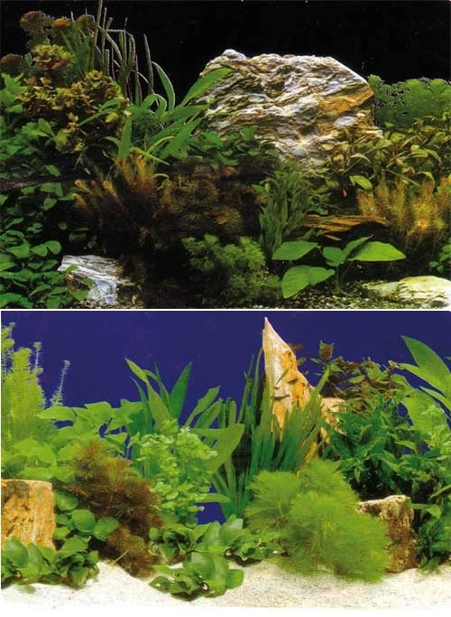 Hobby Aquarium Fotorückwand 31124 H=60cm