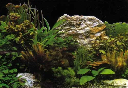 Hobby Aquarium Fotorückwand 31124 H=60cm