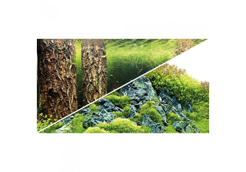 Hobby Aquarium Fotorückwand 31028 H=60cm