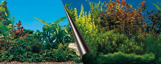 Europet Aquarium Fotorückwand 108-1234 H=50cm