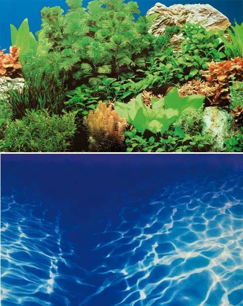 Hobby Aquarium Fotorückwand 30998 H=50cm