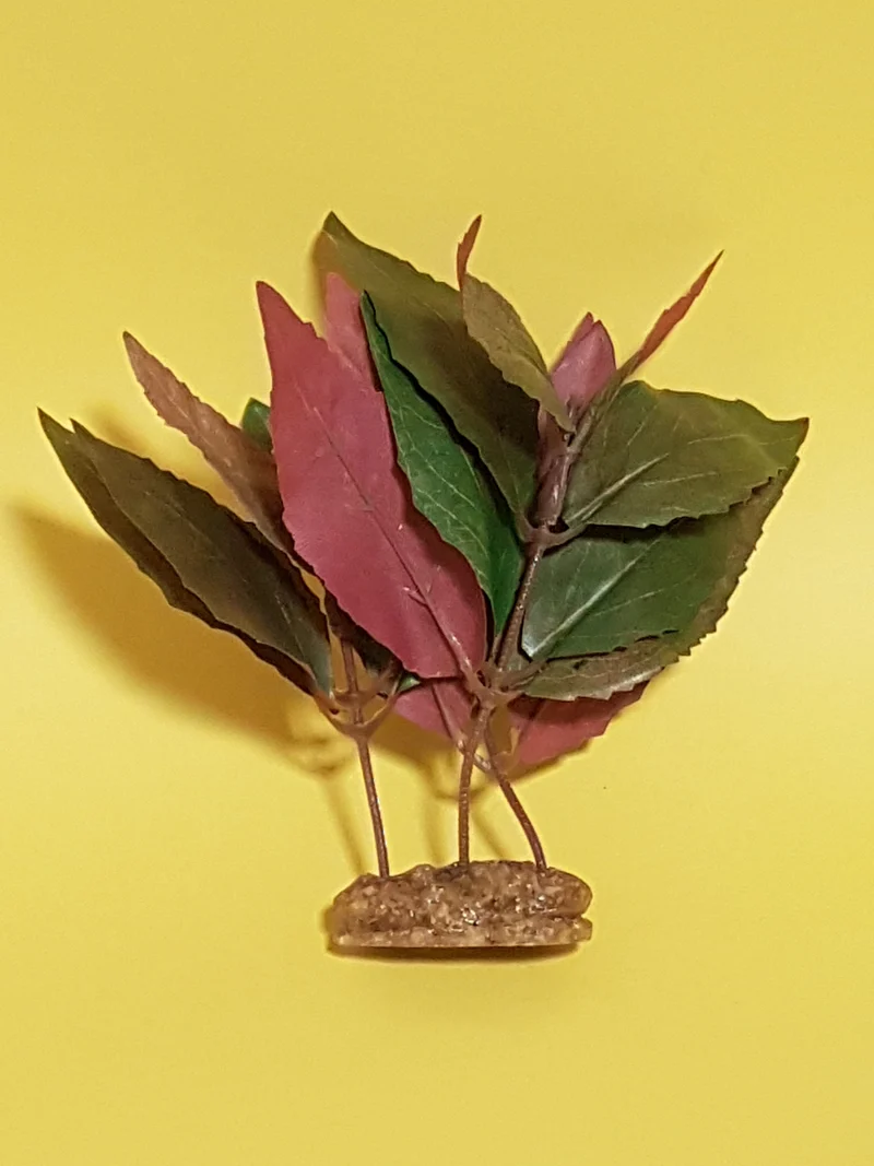 Europet Seidenpflanze M Hygrophila Violacea