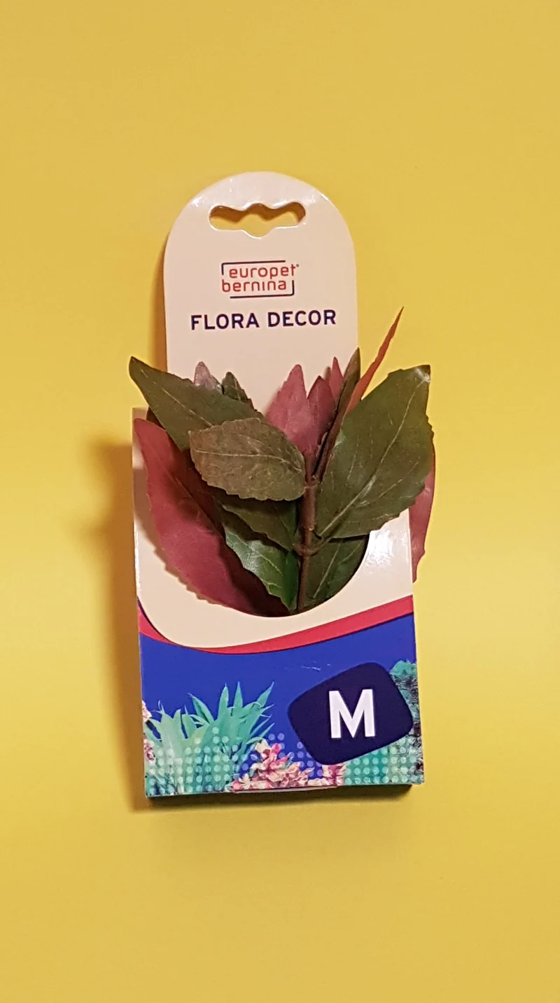 Europet Seidenpflanze M Hygrophila Violacea