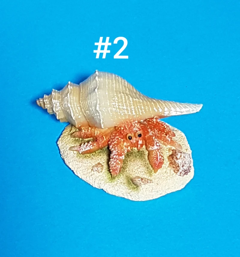 Europet Deko Hermit Crab Einsiedlerkrebs mit Muschel