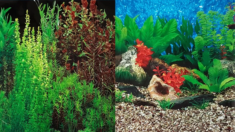Hobby Aquarium Fotorückwand 31114 H=50cm