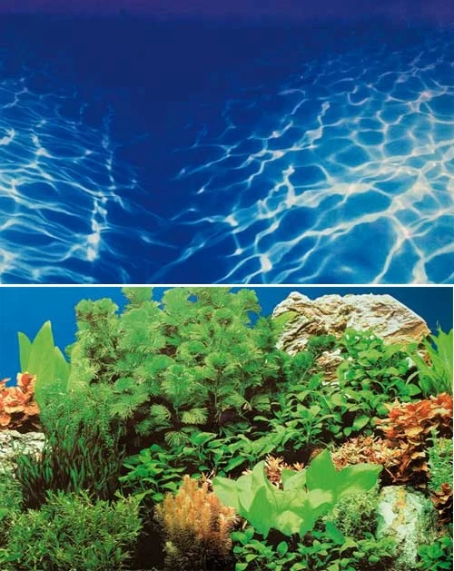 Hobby Aquarium Fotorückwand 30996 H=30cm