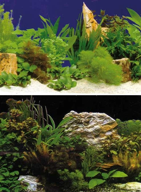 Hobby Aquarium Fotorückwand 31122 H=30cm