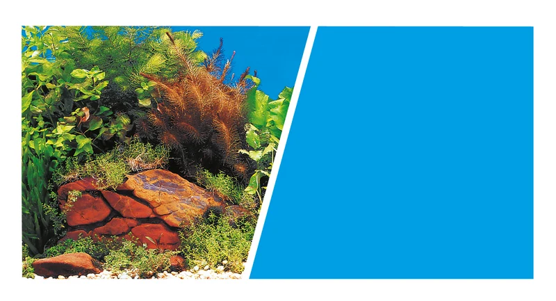 Marina Aquarium Fotorückwand 11764 H=30cm