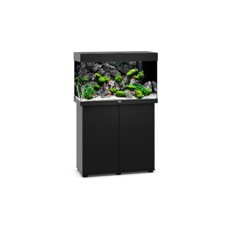 Juwel Rio 125 LED SBX 125l Aquarium Kombination