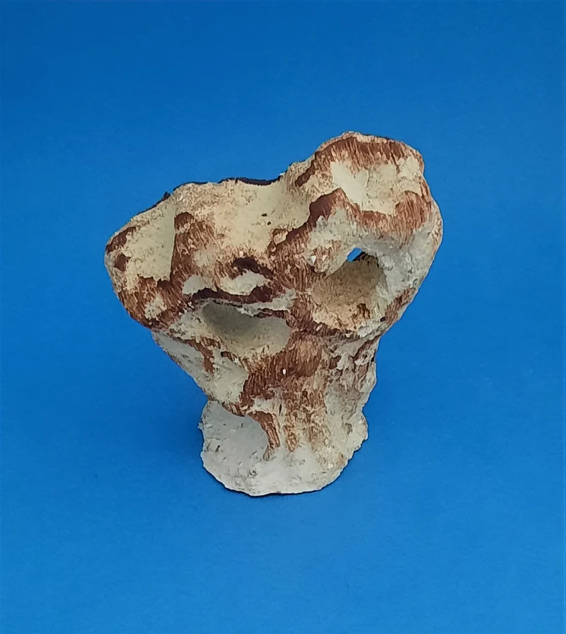 Aquaroche Doppelloch-Felsen mit Pflanzfläche