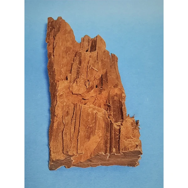Hobby Mangroven Wurzel S #109