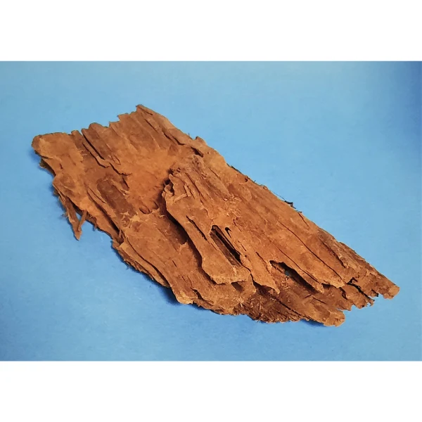 Hobby Mangroven Wurzel S #109