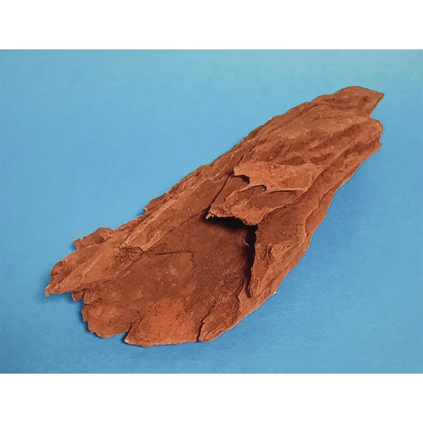 Hobby Mangroven Wurzel S #102
