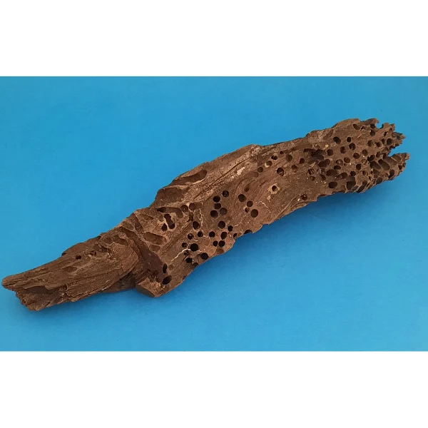Aquadeco Wabenholz / Drachenholz S #534