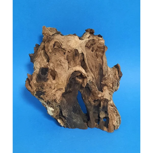 Barico Wurzel Small #017