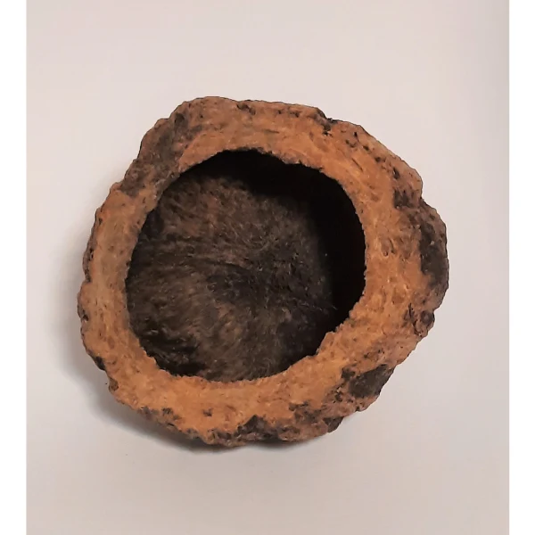 Natürliche Deko-Nuss 7-10cm
