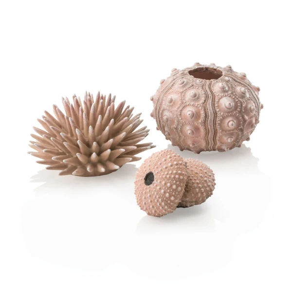 biOrb Seeigel Set 3er natural