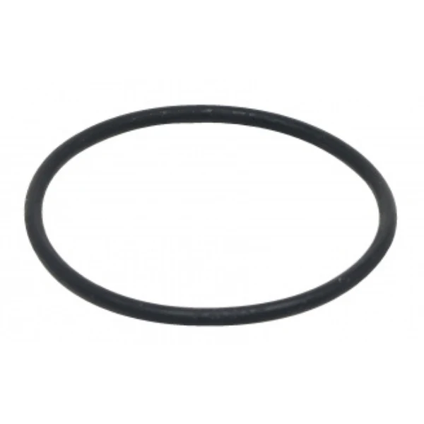 Fluval Dichtungs-Ring Motor FX5/6