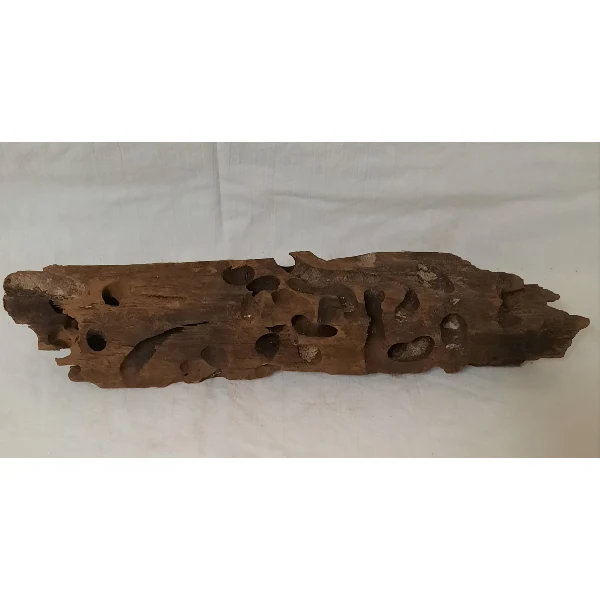 Aquadeco Wabenholz / Drachenholz L 035