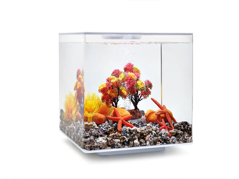 biOrb Decor Set Herbst 15l All In One Box
