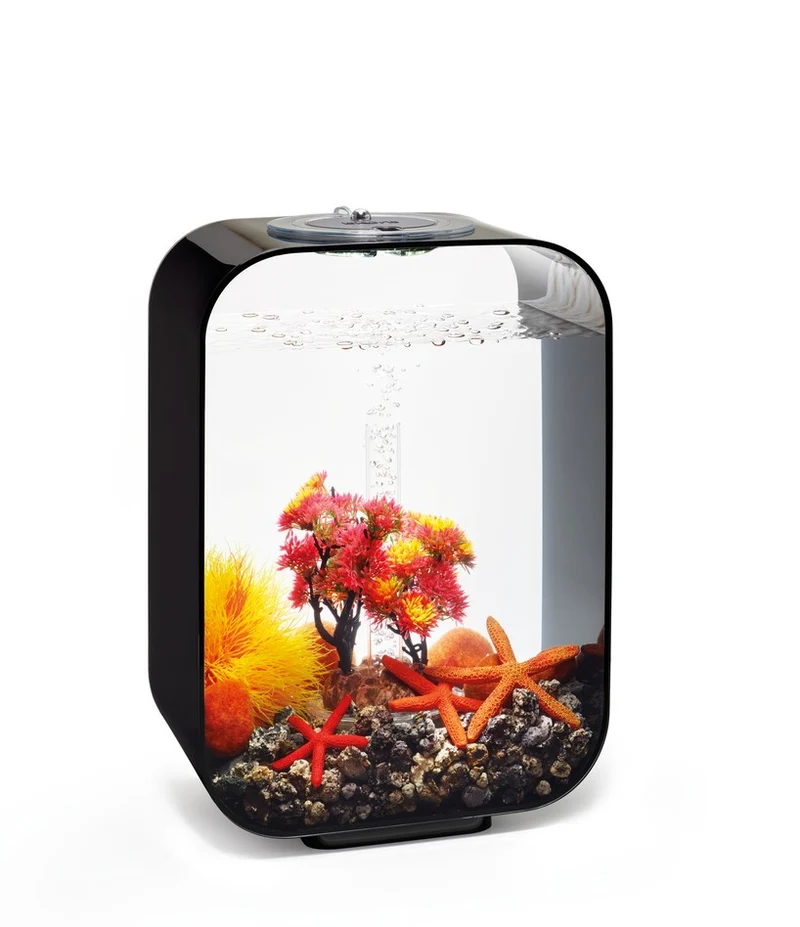 biOrb Decor Set Herbst 15l All In One Box