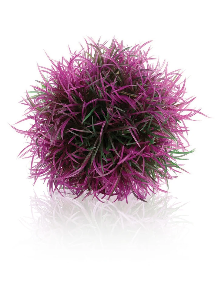 biOrb Gewächsball lila