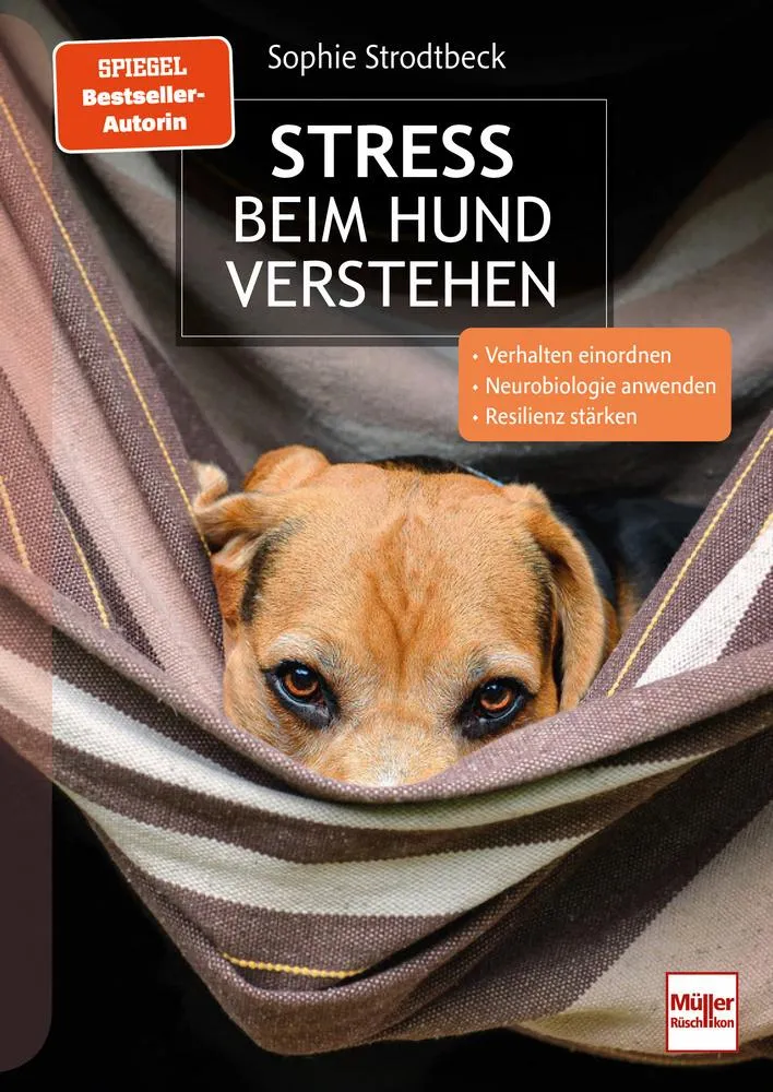 Stress beim Hund verstehen