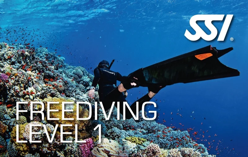 Digital Freediving Basic-Level1 Lehrmaterial