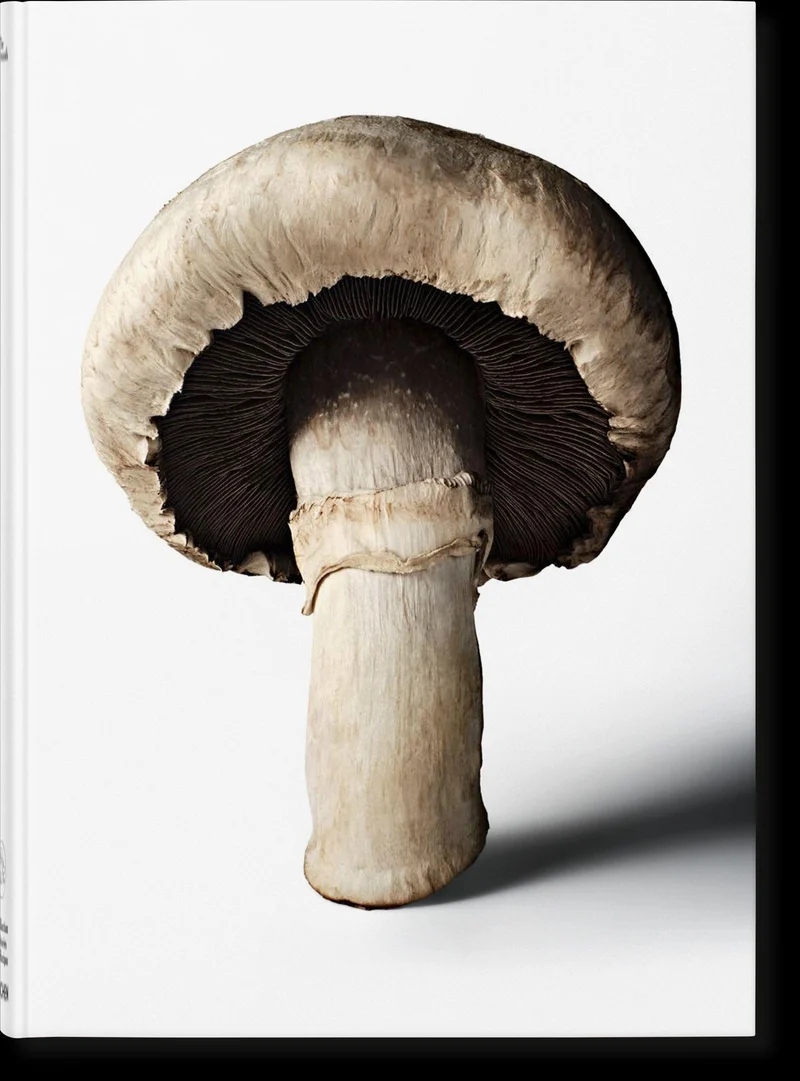 The Gourmand's Mushroom: A Collection of Stories and Recipes
