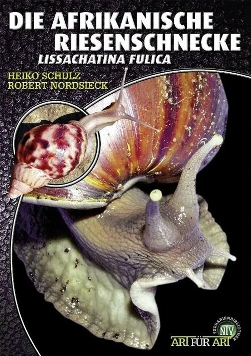 Die Afrikanische Riesenschnecke - Achatina Fulica